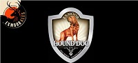 Exmoor Hound Dog